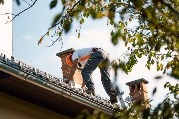 Best New Roof Installation  in Fisher, IL