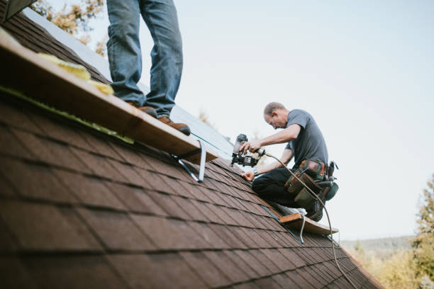 Best Storm Damage Roof Repair  in Fisher, IL